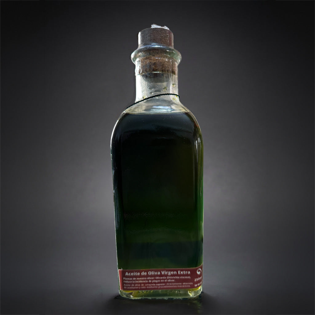 AOVE Picual ecológico - Botella 500ml - Cosecha Temprana 2025